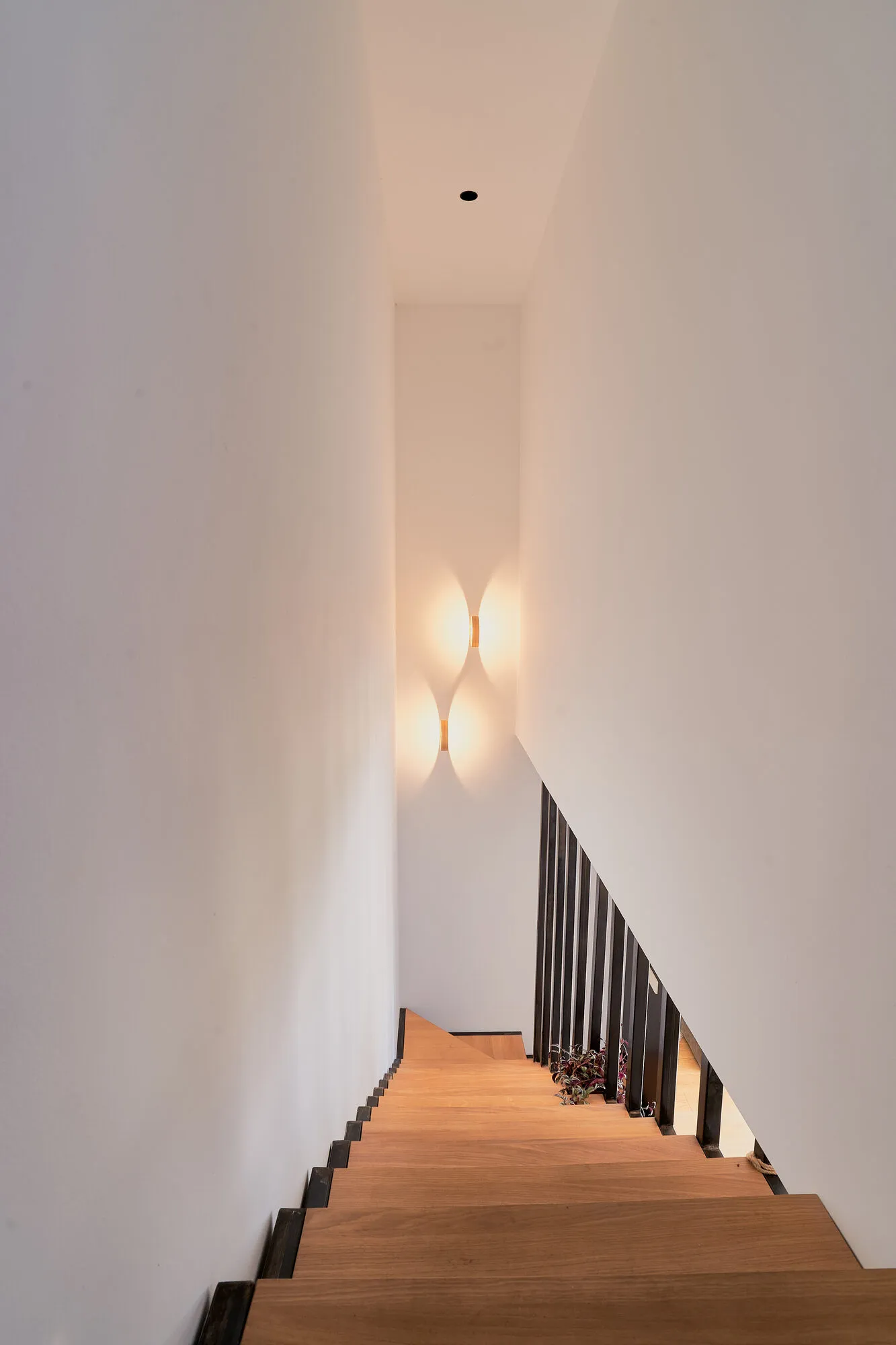 Escalier en bois éclairé par des appliques